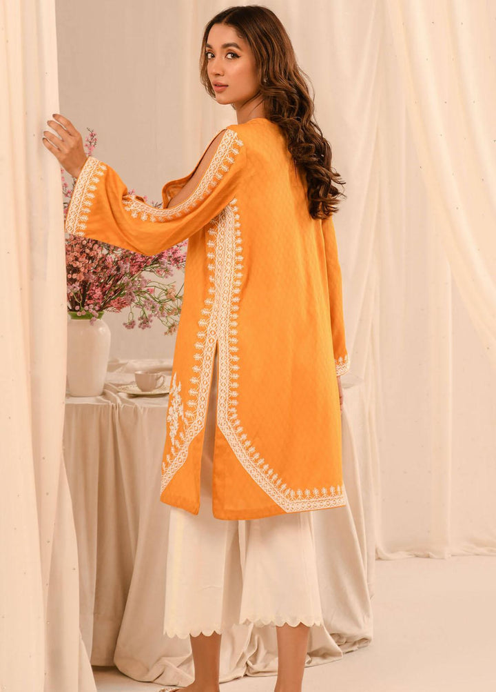 Asifa & Nabeel Pret Embroidered Lawn Kurti AN23B RTW-EMB-14