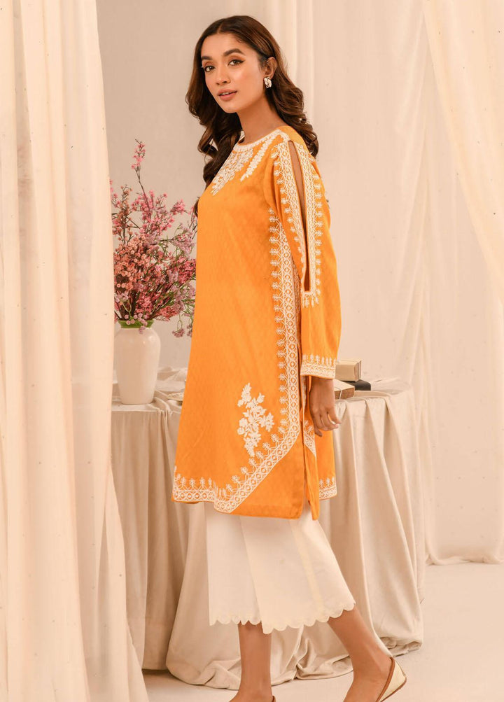 Asifa & Nabeel Pret Embroidered Lawn Kurti AN23B RTW-EMB-14