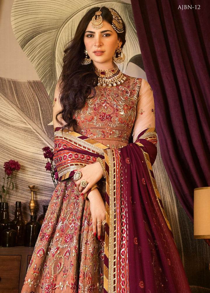 Asim Jofa Luxury Pret Embroidered Net 3 Piece Dress AJ23PWB AJNB-12