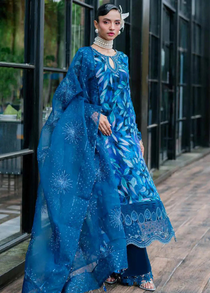 Ballerina By Nureh Embroidered Chiffon Suit Unstitched 3 Piece NU24BW NU2-153 - Winter Collection