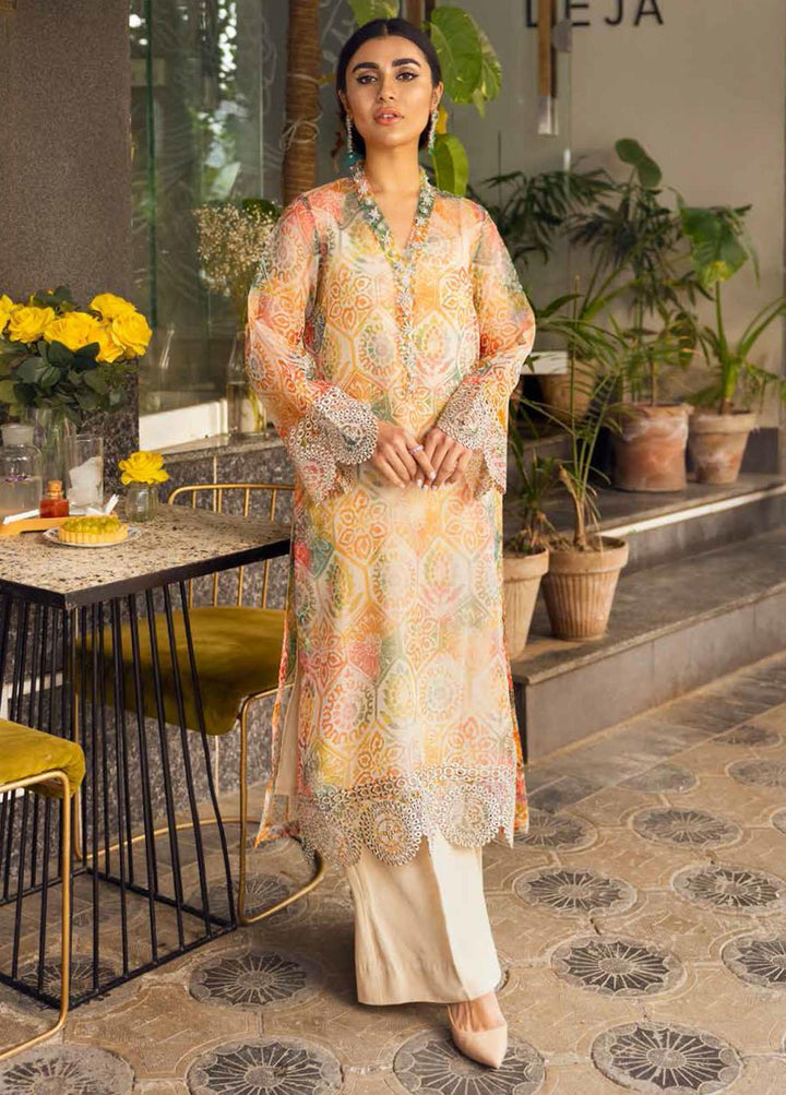 Ballerina By Nureh Embroidered Organza Suits Unstitched 2 Piece NU22B NU2- 24 TUSCAN SUN - Luxury Collection