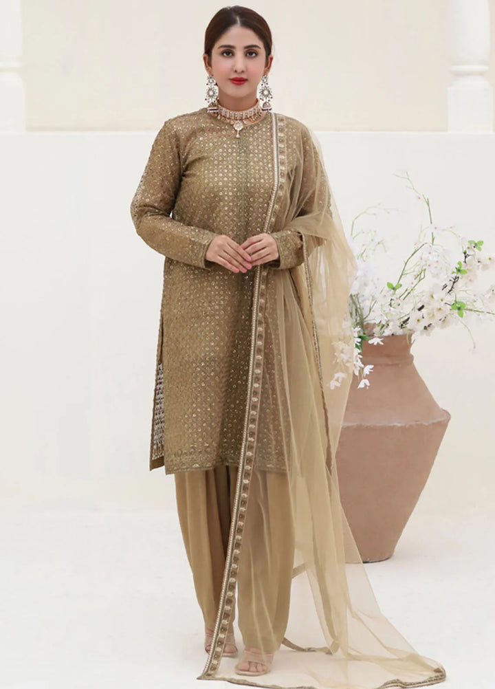 Banas Attire Pret Embroidered Organza 3 Piece Suit 197-BR