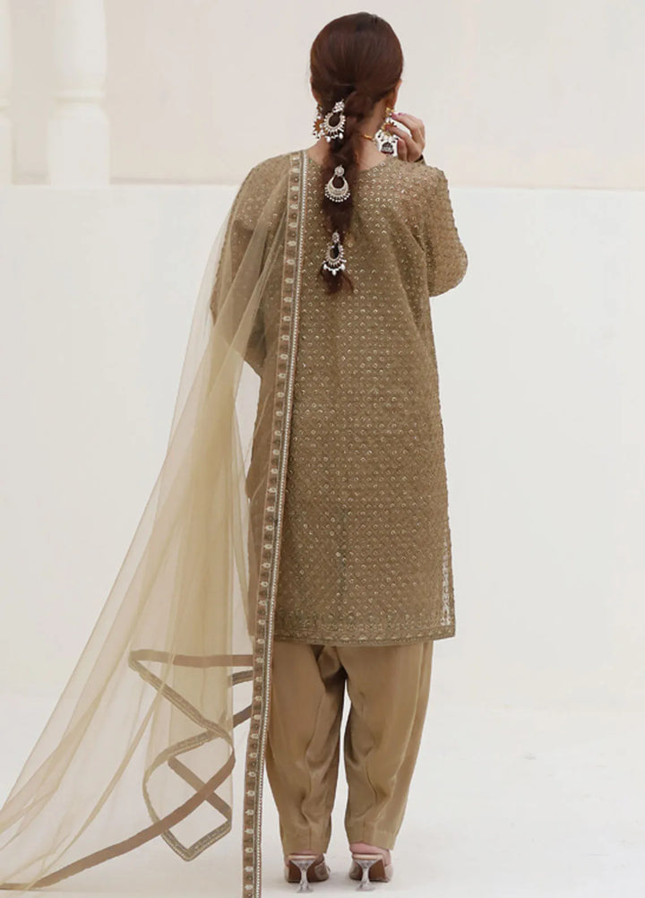 Banas Attire Pret Embroidered Organza 3 Piece Suit 197-BR