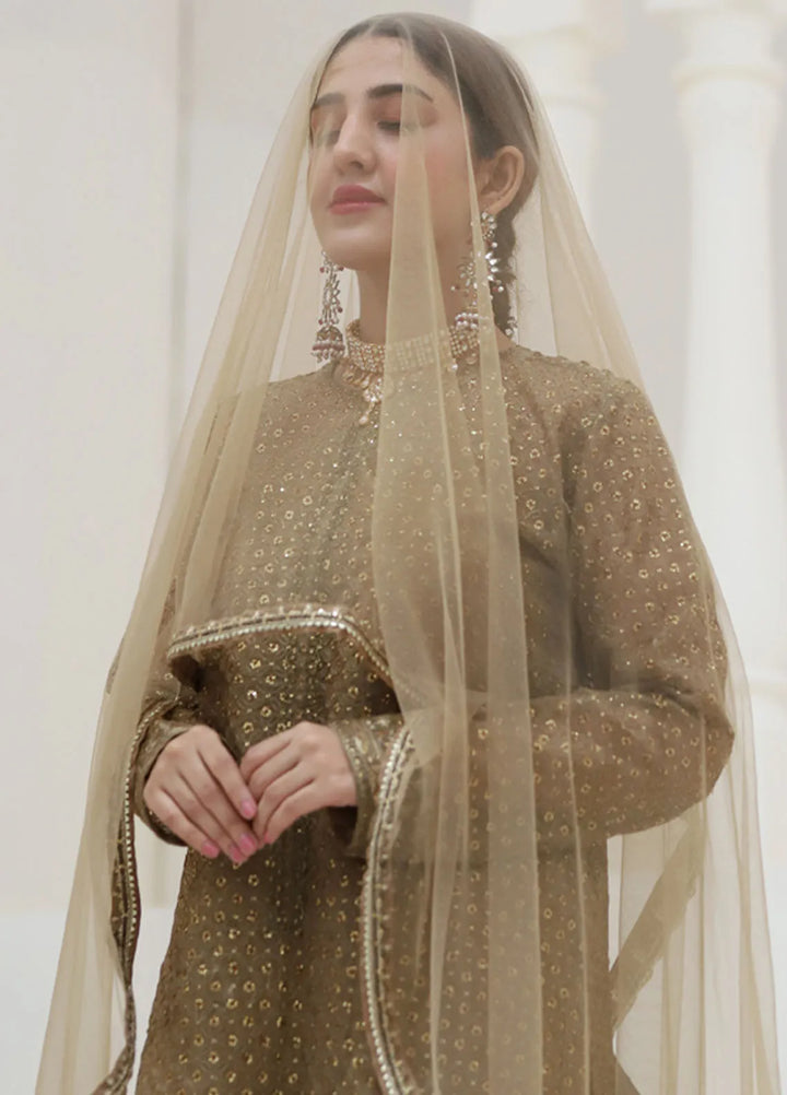 Banas Attire Pret Embroidered Organza 3 Piece Suit 197-BR