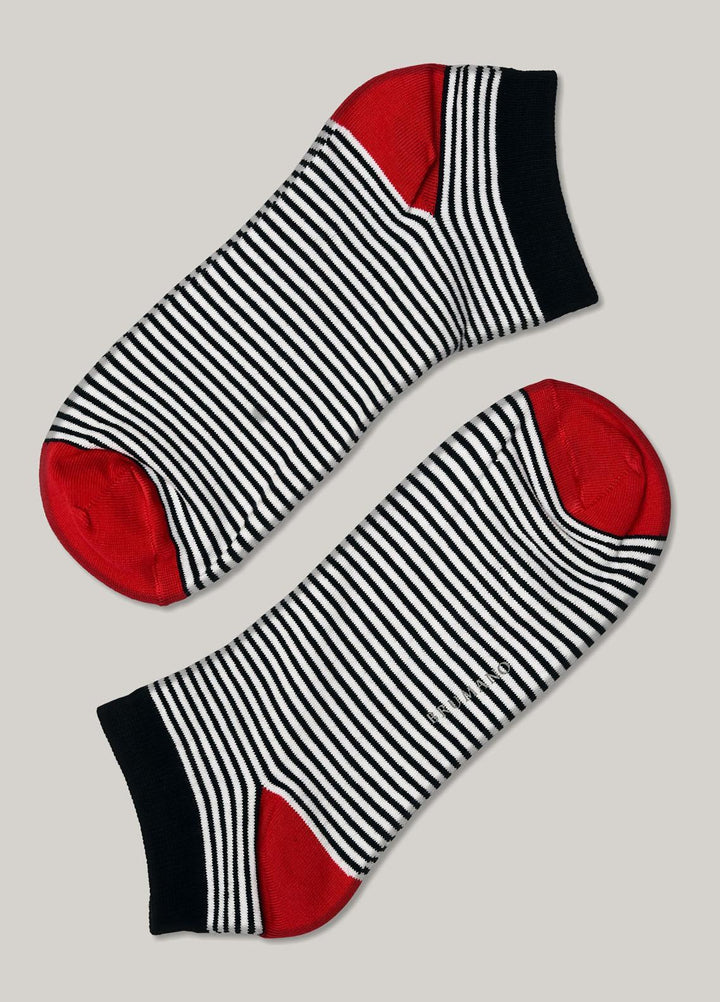 Brumano Cotton Socks Black with White Stripe Cotton Ankle