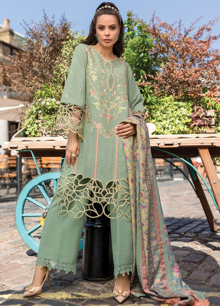 Carnation By Rang Rasiya Embroidered Karandi Suit Unstitched 3 Piece RR24CE D-06 Lisa - Winter Collection