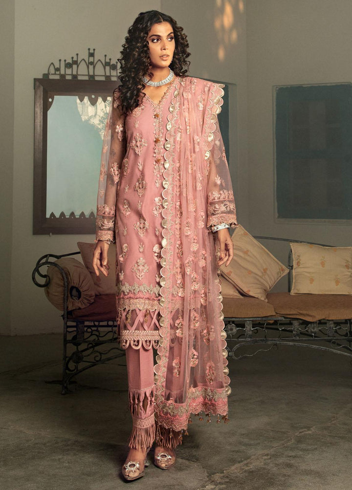 Chandni By Surmai Embroidered Net Suits Unstitched 3 Piece SUR21C SWC-03 Shirin - Wedding Collection