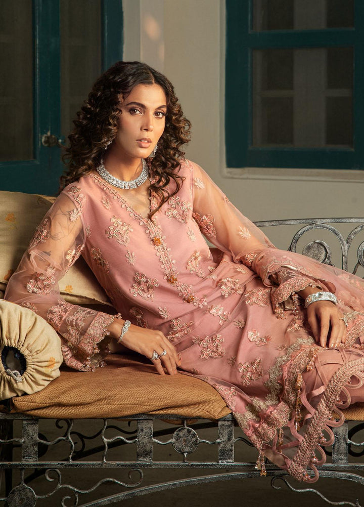 Chandni By Surmai Embroidered Net Suits Unstitched 3 Piece SUR21C SWC-03 Shirin - Wedding Collection