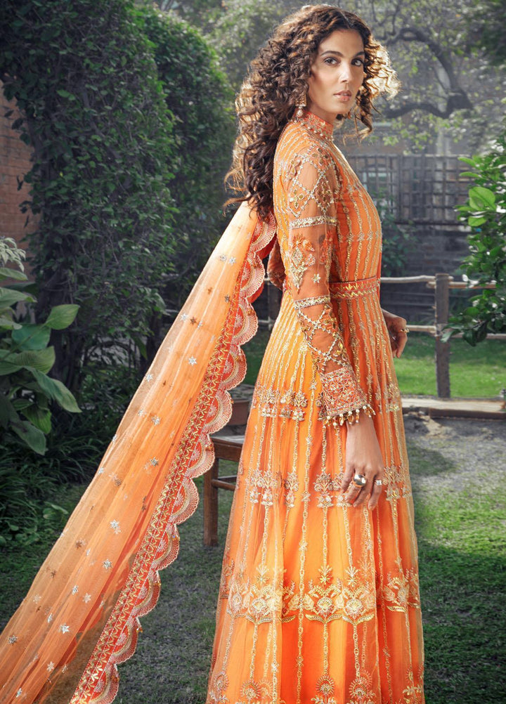 Chandni By Surmai Embroidered Net Suits Unstitched 3 Piece SUR21C SWC-06 Reena - Wedding Collection