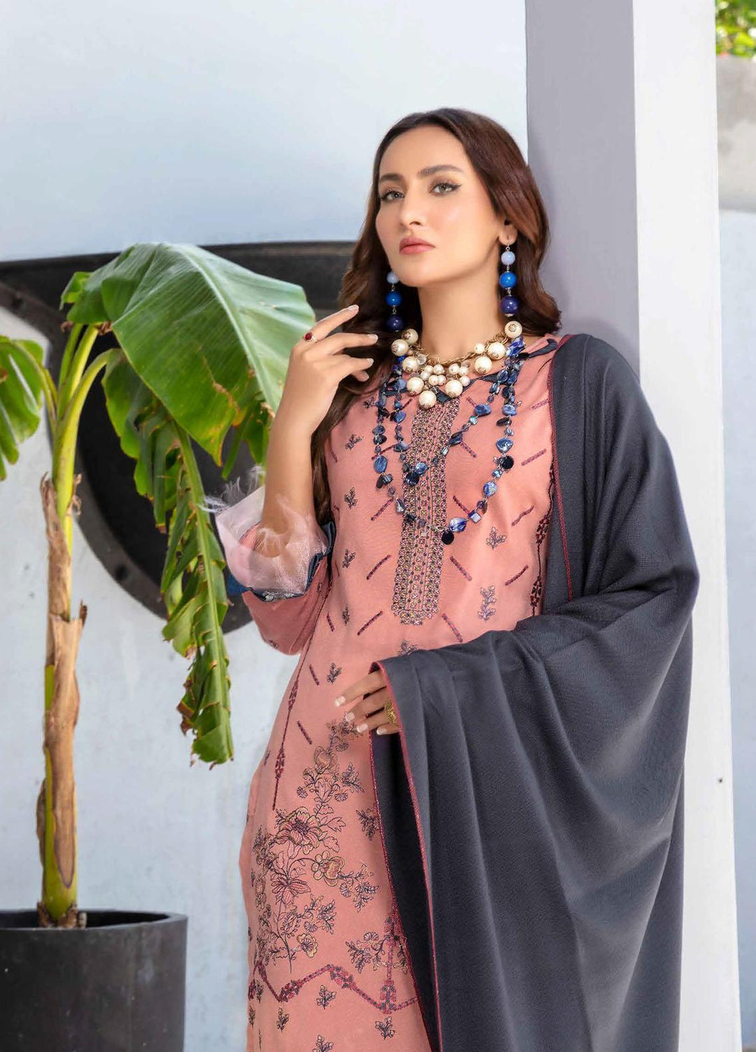 Chantilly De Lace By Aalaya Embroidered Dhanak Suits Unstitched 3 Piece ALY22CDL-V2 D-06 - Winter Collection