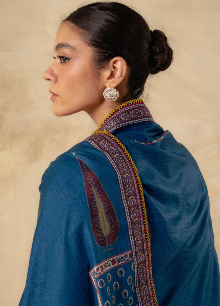 Coco By Zara Shahjahan Embroidered Khaddar Suits Unstitched 3 Piece CZS23W 8B - Winter Collection