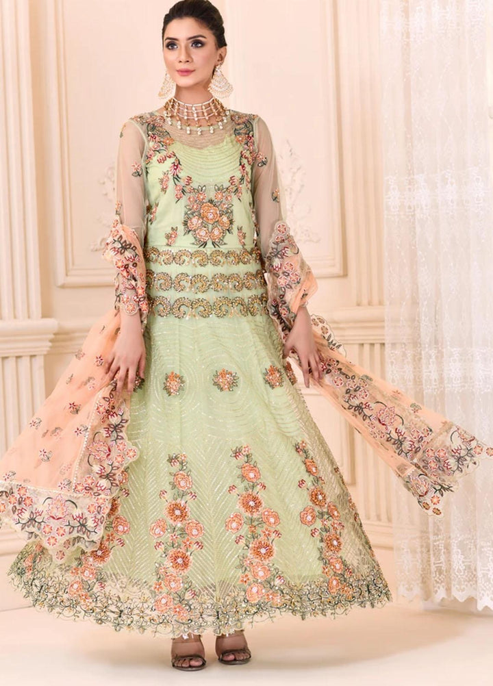 Cynthia by Noorangi Embroidered Net Suits Unstitched 4 Piece NG21CN Mahgul - Luxury Formals Collection