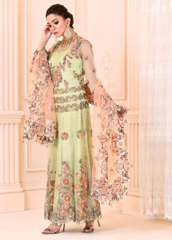 Cynthia by Noorangi Embroidered Net Suits Unstitched 4 Piece NG21CN Mahgul - Luxury Formals Collection