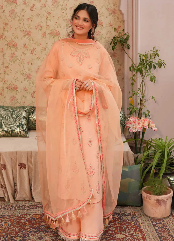 Dastaan by Annara Begum Embroidered Cotton Lawn Suit Unstitched 3 Piece AB24D Aabish - Summer Collection