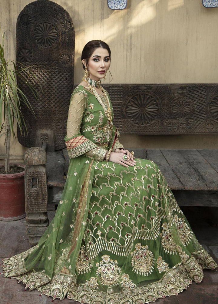 Daud Abbas Embroidered Net Suits Unstitched 2 Piece DA22DS DA-F-008/Sang e seem - Luxury Collection