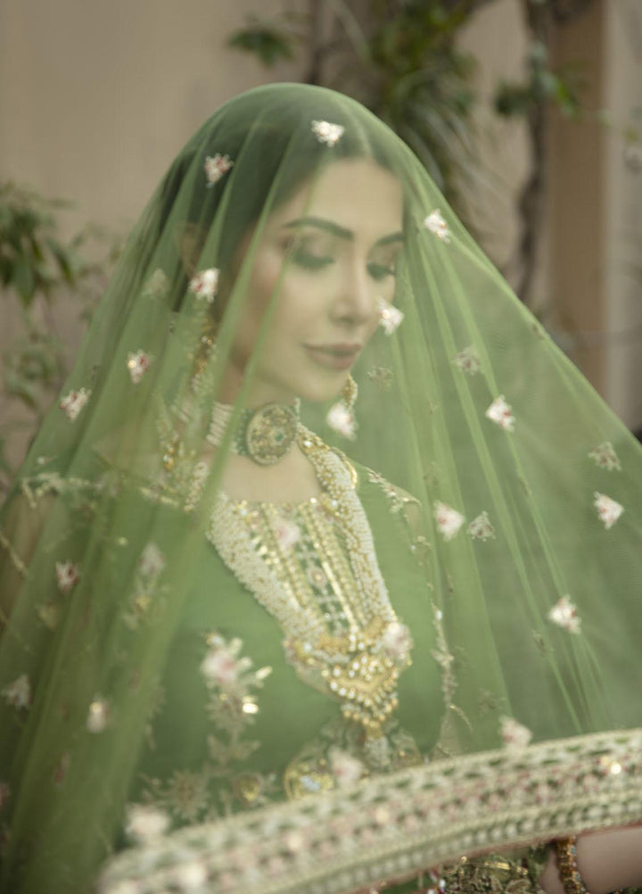 Daud Abbas Embroidered Net Suits Unstitched 2 Piece DA22DS DA-F-008/Sang e seem - Luxury Collection