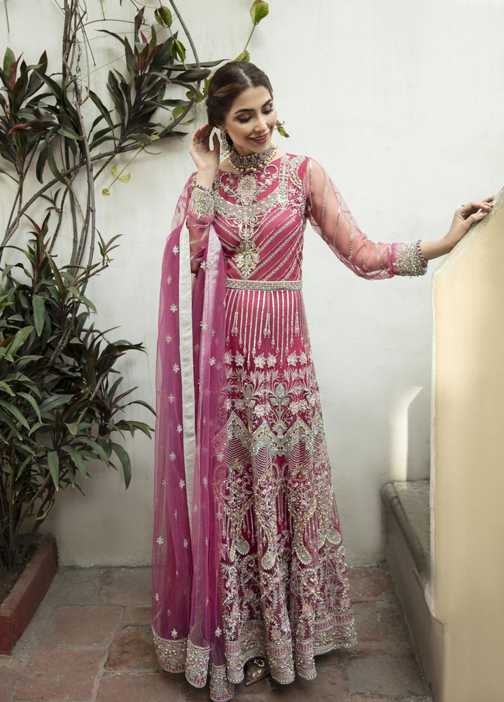 Daud Abbas Embroidered Net Suits Unstitched 2 Piece DA22DS DA-F-009/Zarcoon - Luxury Collection