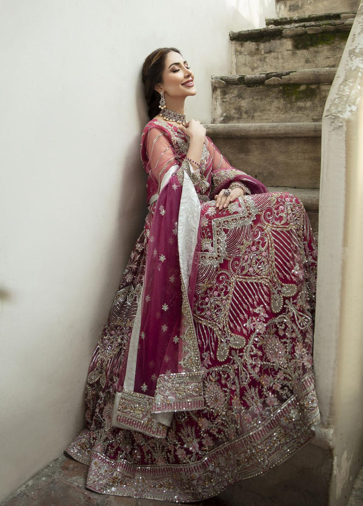 Daud Abbas Embroidered Net Suits Unstitched 2 Piece DA22DS DA-F-009/Zarcoon - Luxury Collection