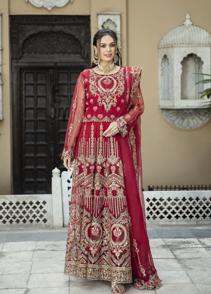 Daud Abbas Embroidered Organza Suits Unstitched 2 Piece DA22DS DA-F-010/Ruby - Luxury Collection