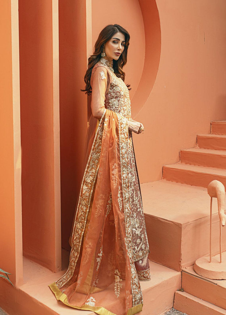 Daud Abbas Luxury Pret Embroidered Organza 3 Piece Dress DA22DSD DA-WF-0003 Nilofer