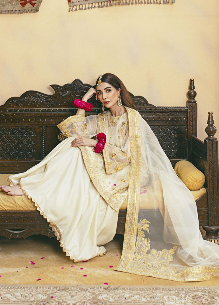 Daud Abbas Luxury Pret Embroidered Organza 3 Piece Dress DA22DSD DA-WF-0005 Rasm