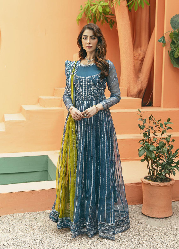 Daud Abbas Luxury Pret Embroidered Organza 2 Piece Dress DA22DSD DA-WF-0006 Naghma