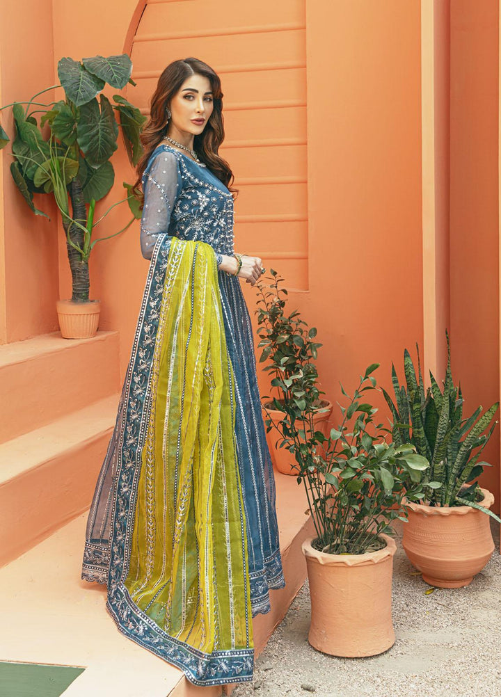Daud Abbas Luxury Pret Embroidered Organza 2 Piece Dress DA22DSD DA-WF-0006 Naghma
