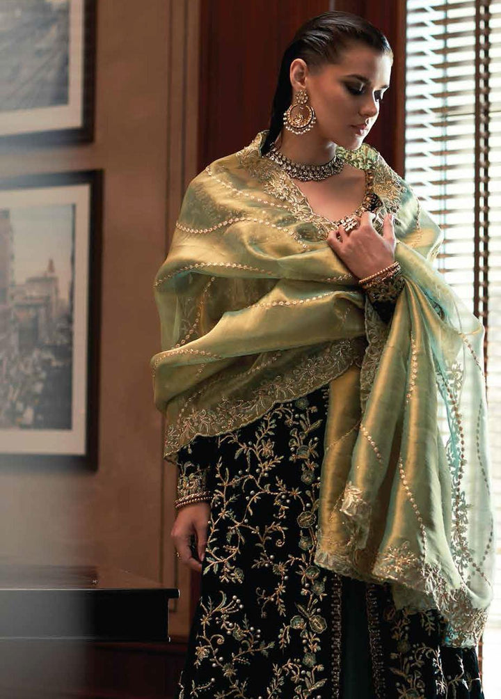 Destiny by Mushq Embroidered Velvet Suits Unstitched 3 Piece MQ22D MV22-02 Mirage - Luxury Collection