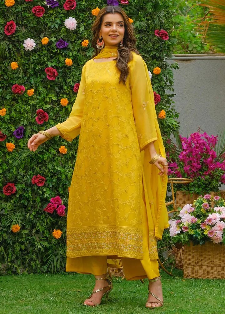 Dhaga Pret Embroidered Chiffon 3 Piece Suit Mehak