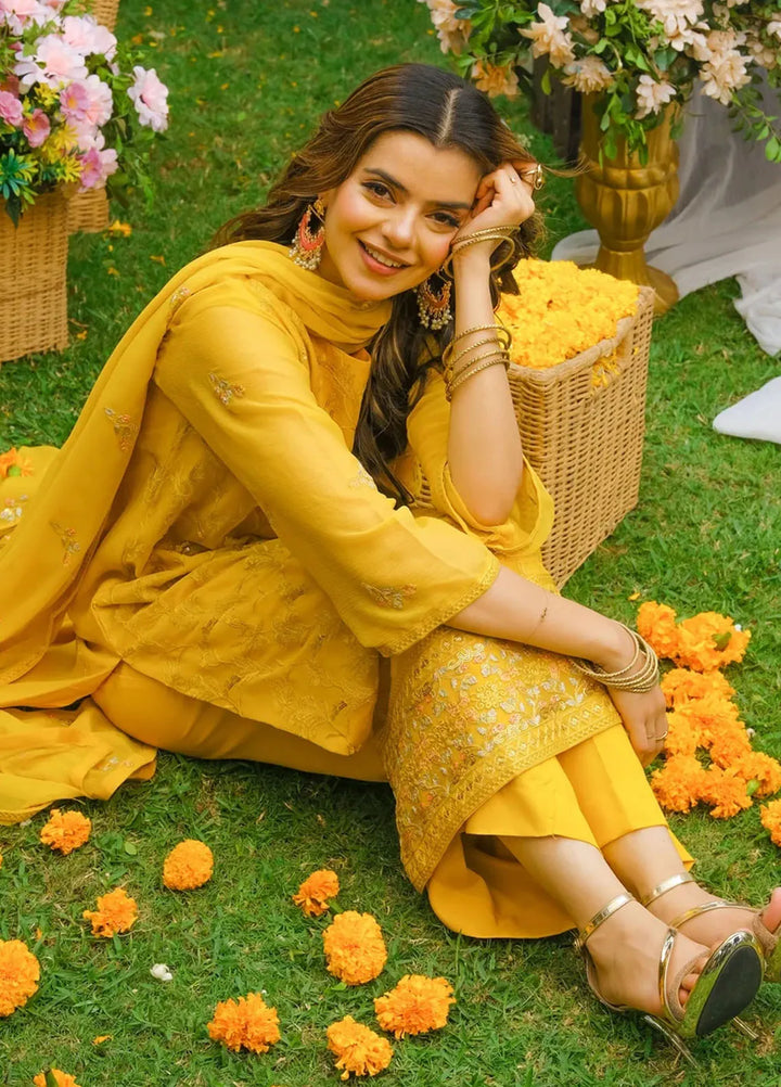 Dhaga Pret Embroidered Chiffon 3 Piece Suit Mehak