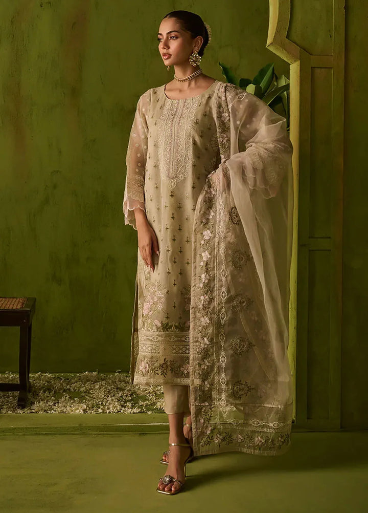 Dhanak Embroidered Net Suits Unstitched 3 Piece SS24DU-3194 - Festive Collection