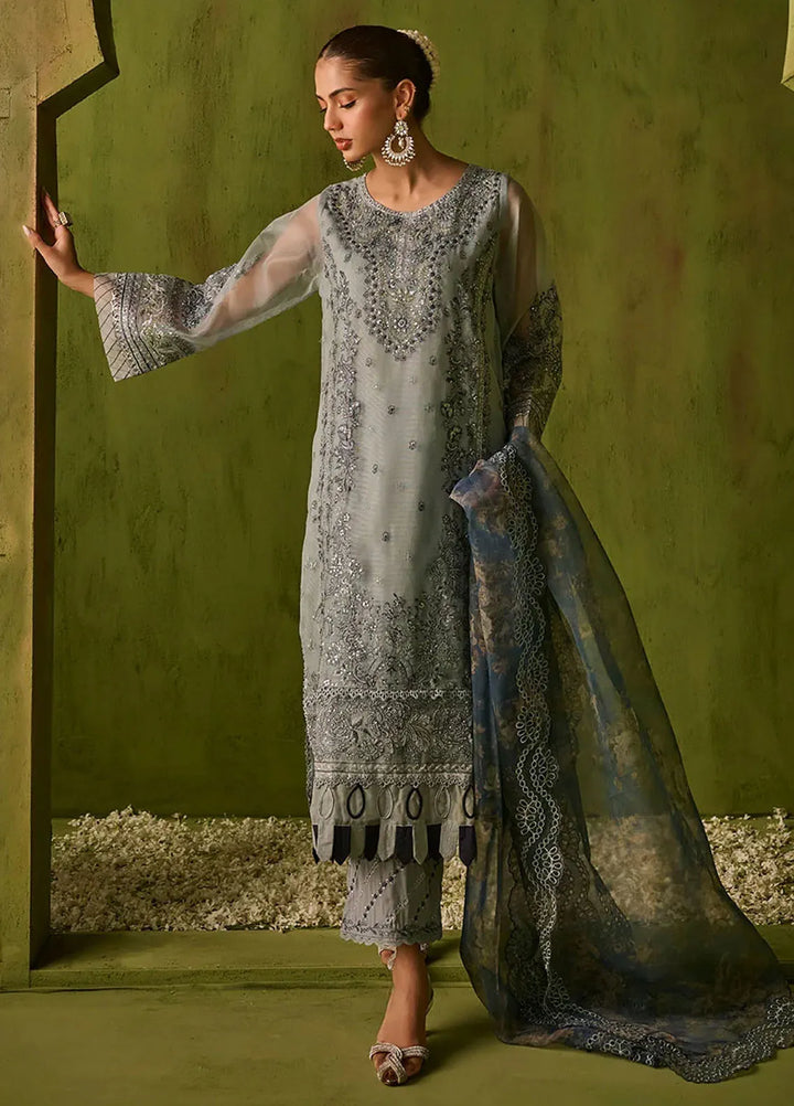 Dhanak Embroidered Net Suits Unstitched 3 Piece SS24DU-3196 - Festive Collection