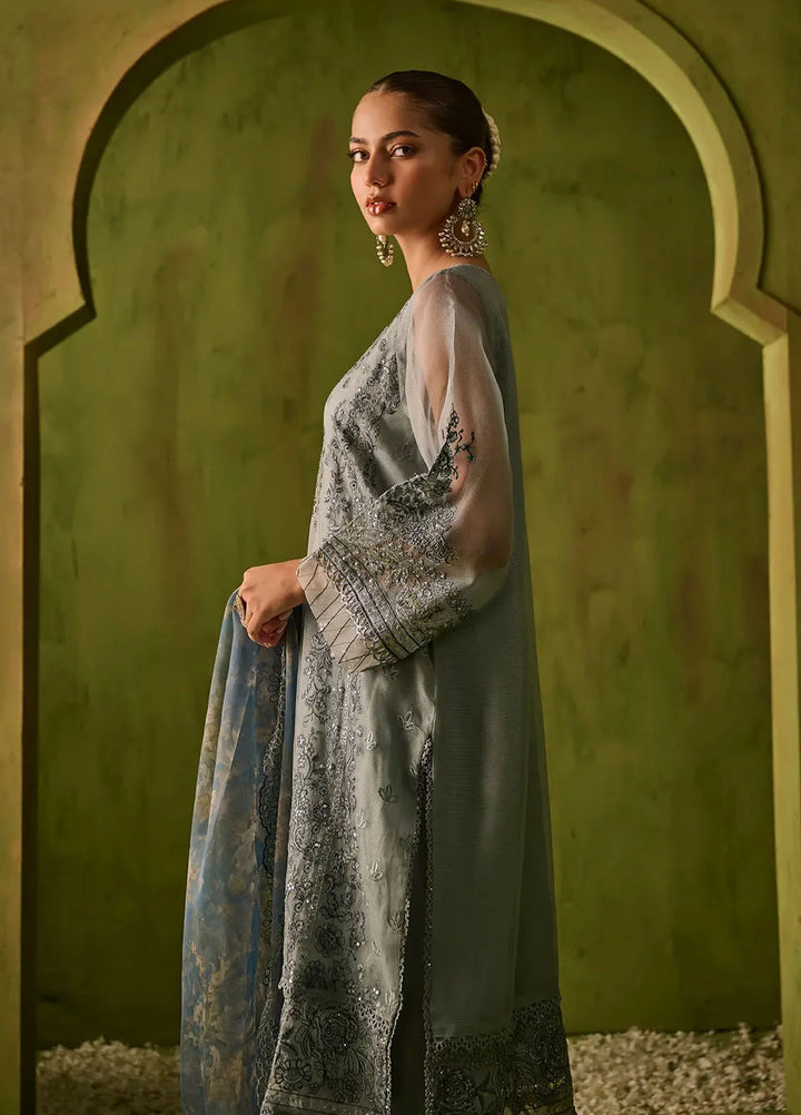 Dhanak Embroidered Net Suits Unstitched 3 Piece SS24DU-3196 - Festive Collection