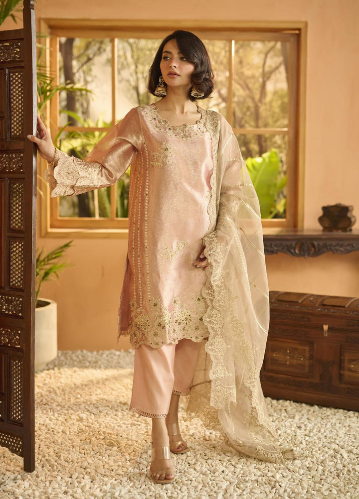 Dhanak Pret   3 Piece Suit DL-0214 PINK