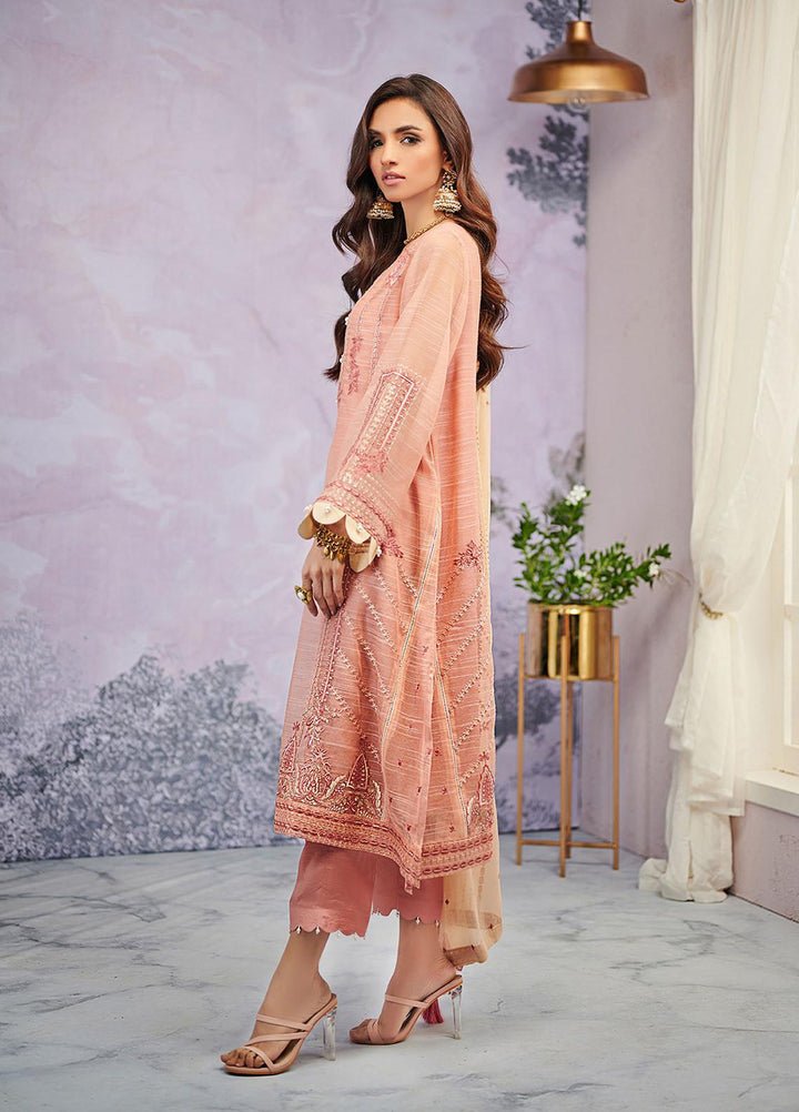 Dhanak Embroidered Net Suits Unstitched 3 Piece DU-3067 - Luxury Collection