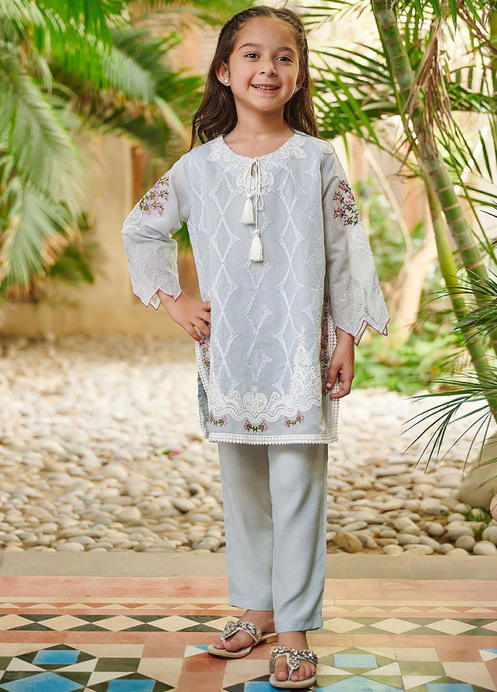 Dhanak Festive Pret Embroidered Cotton 2 Piece Suit DK-0122 WATER BLUE