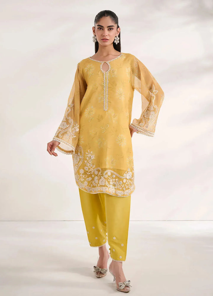 Dhanak Pret Embroidered Khaadi Net 2 Piece Suit SS24DA-2476