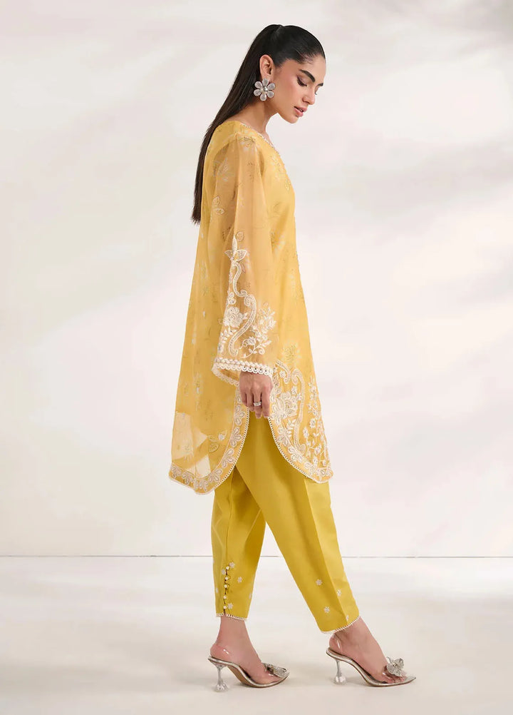 Dhanak Pret Embroidered Khaadi Net 2 Piece Suit SS24DA-2476