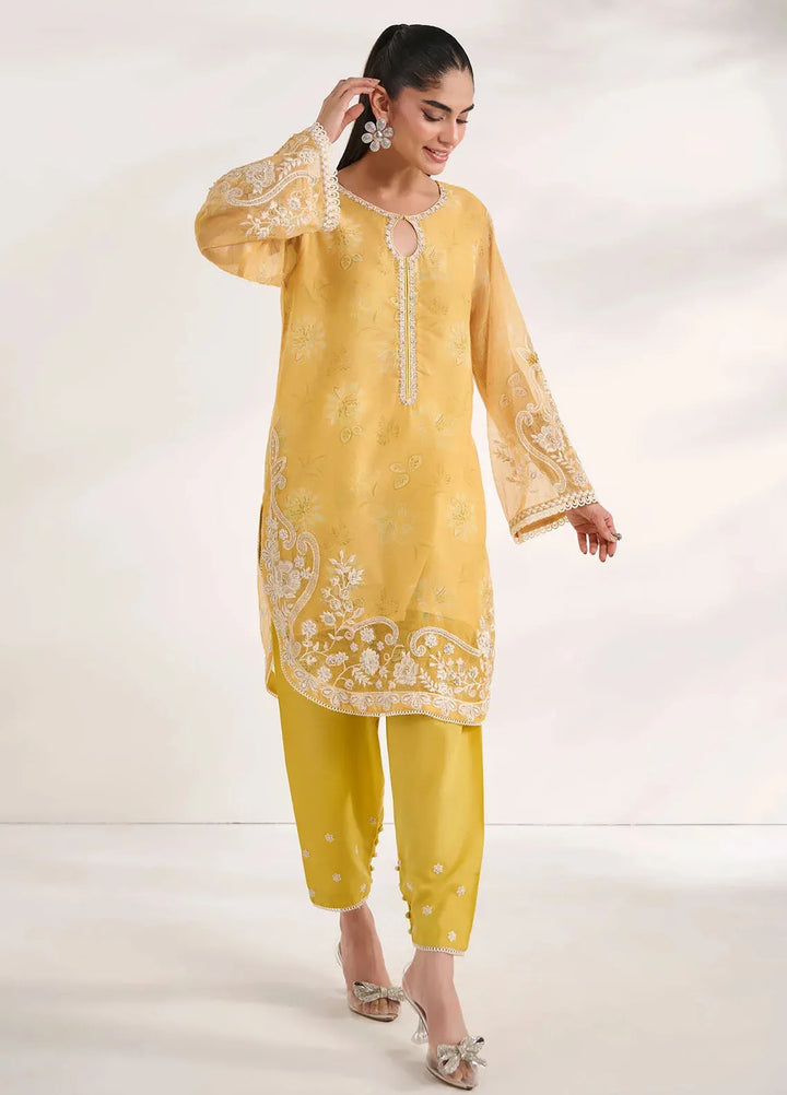 Dhanak Pret Embroidered Khaadi Net 2 Piece Suit SS24DA-2476