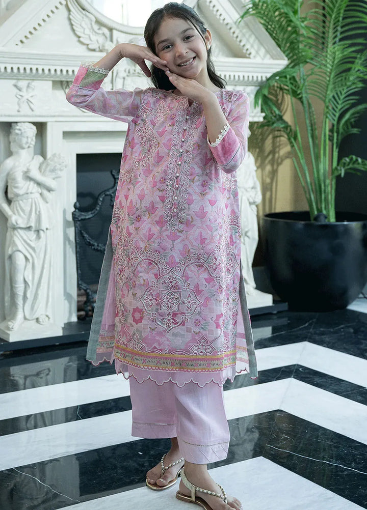 Dhanak Pret Embroidered Khaadi net 2 Piece Suit SS24DK-0173