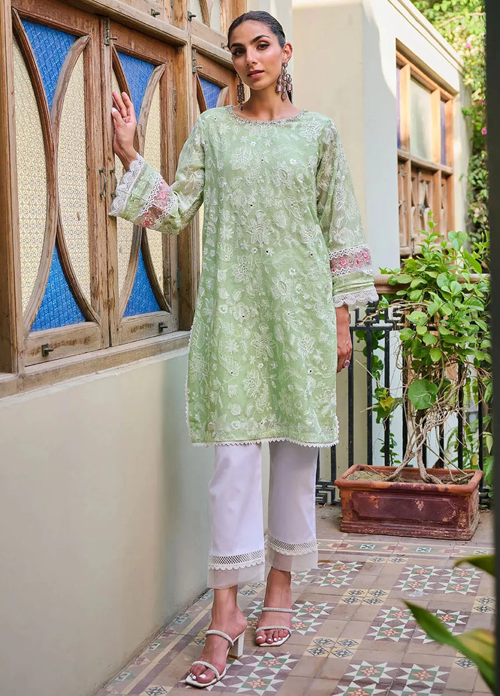 Dhanak Pret Embroidered Khaddi Net Kurti SS24DA-1884
