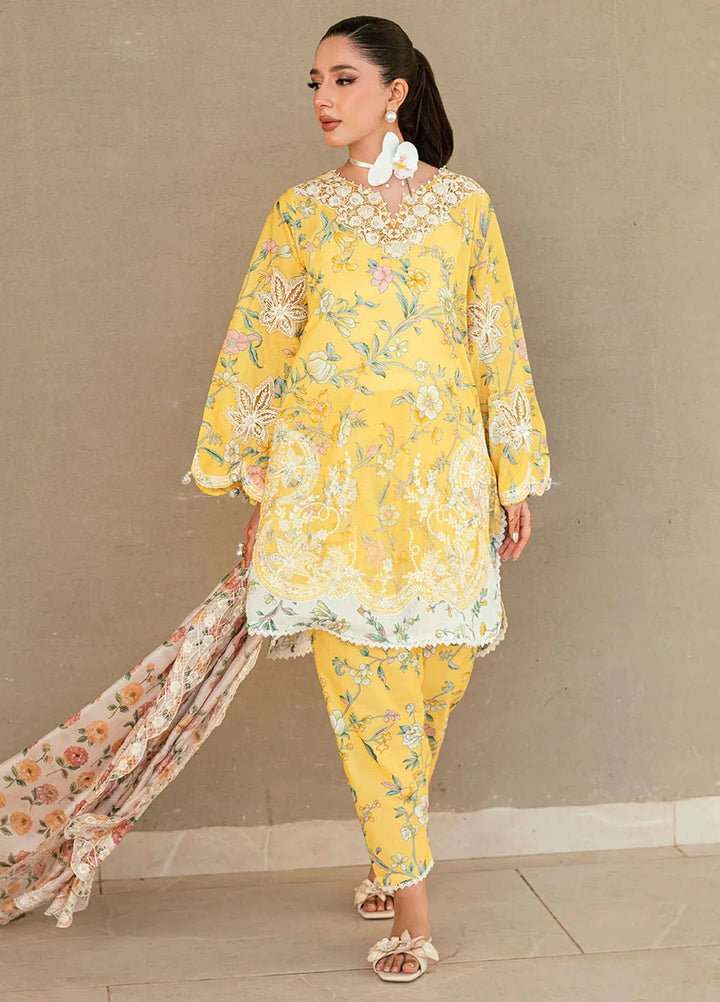 Dhanak Pret Embroidered Lawn 2 Piece Suit SS25DC-2534