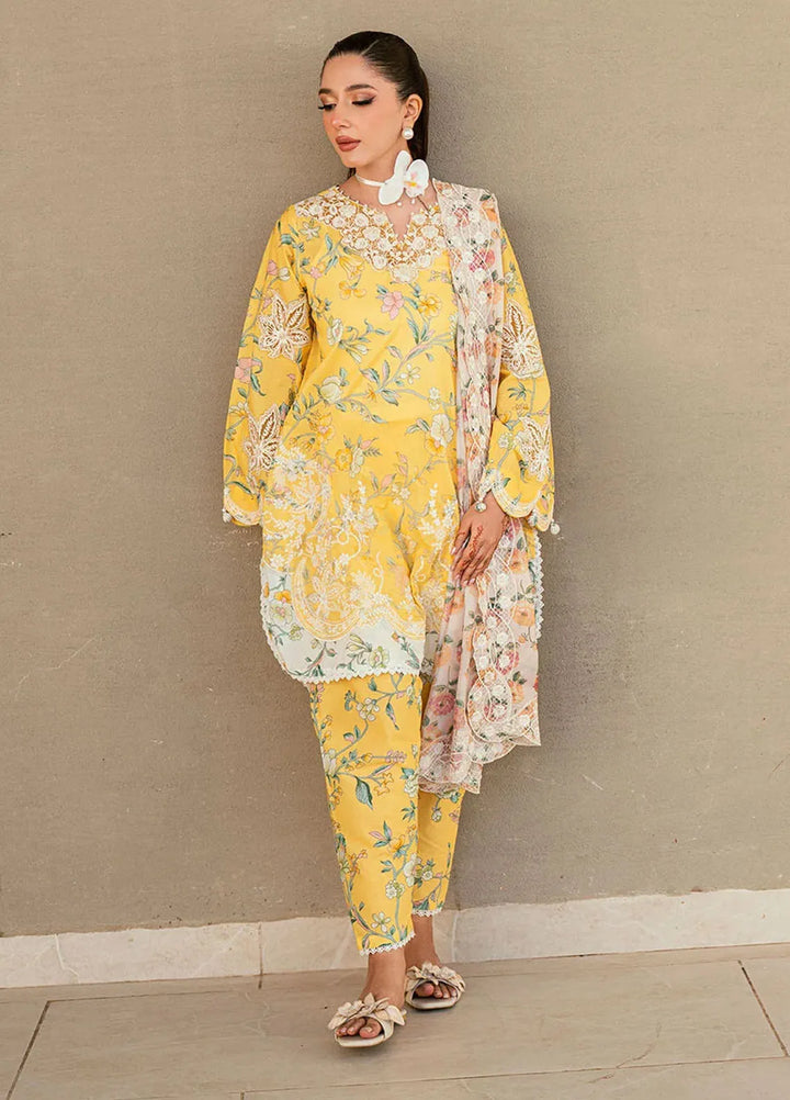 Dhanak Pret Embroidered Lawn 2 Piece Suit SS25DC-2534