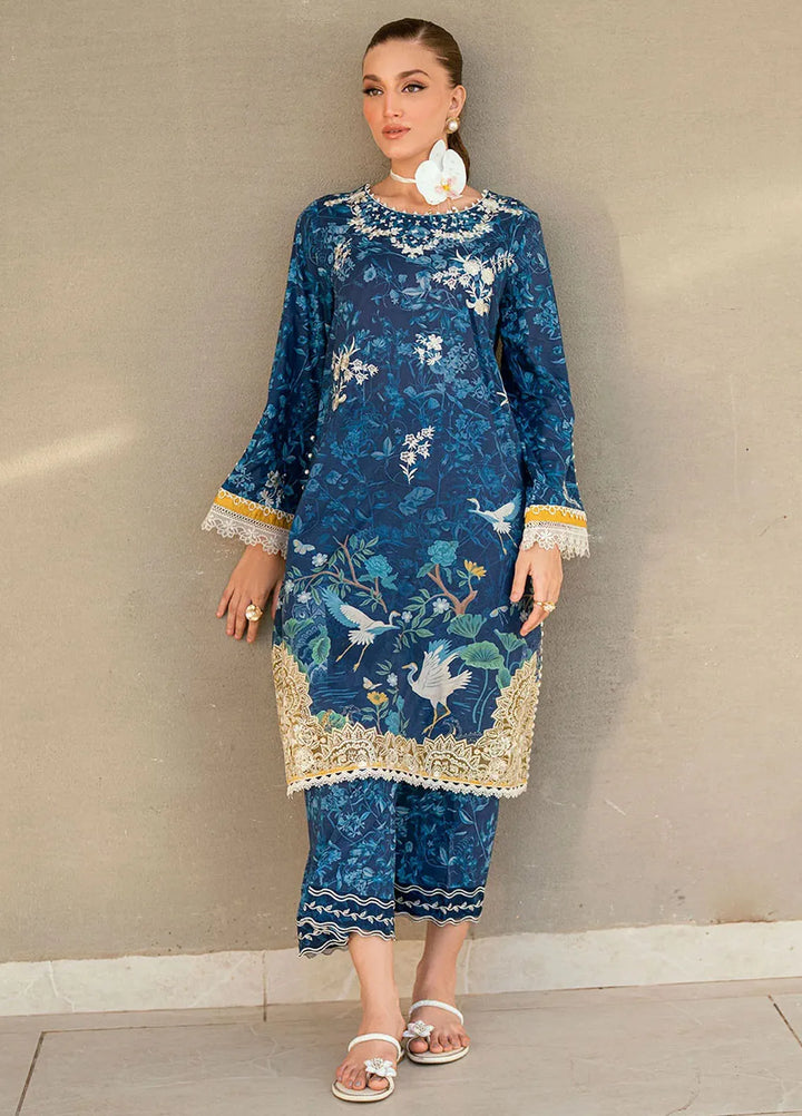 Dhanak Pret Embroidered Lawn 2 Piece Suit SS25DC-2538