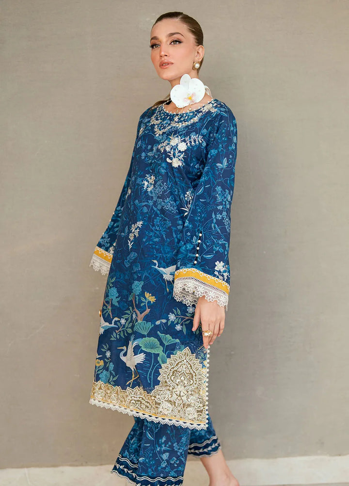Dhanak Pret Embroidered Lawn 2 Piece Suit SS25DC-2538