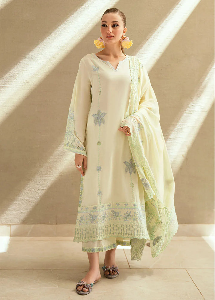 Dhanak Pret Embroidered Lawn 2 Piece Suit SS25DC-2541