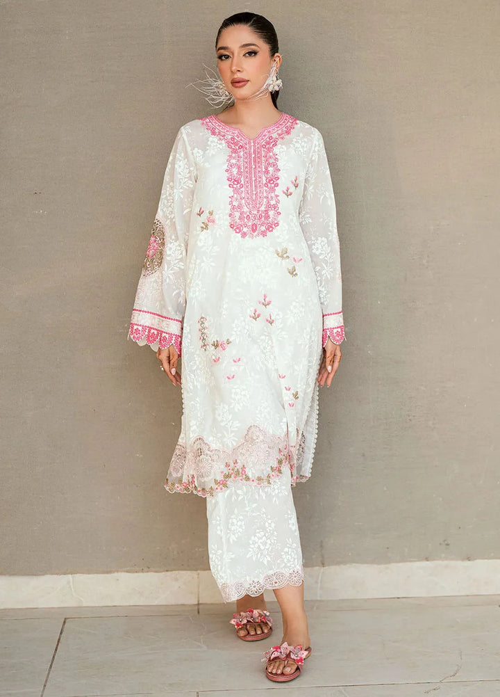 Dhanak Pret Embroidered Lawn 2 Piece Suit SS25DC-2544