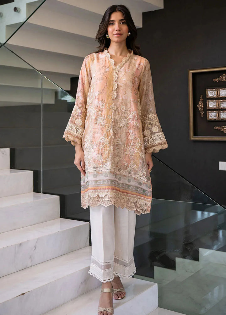 Dhanak Pret Embroidered Munar 2 Piece Suit SS24DA-2434