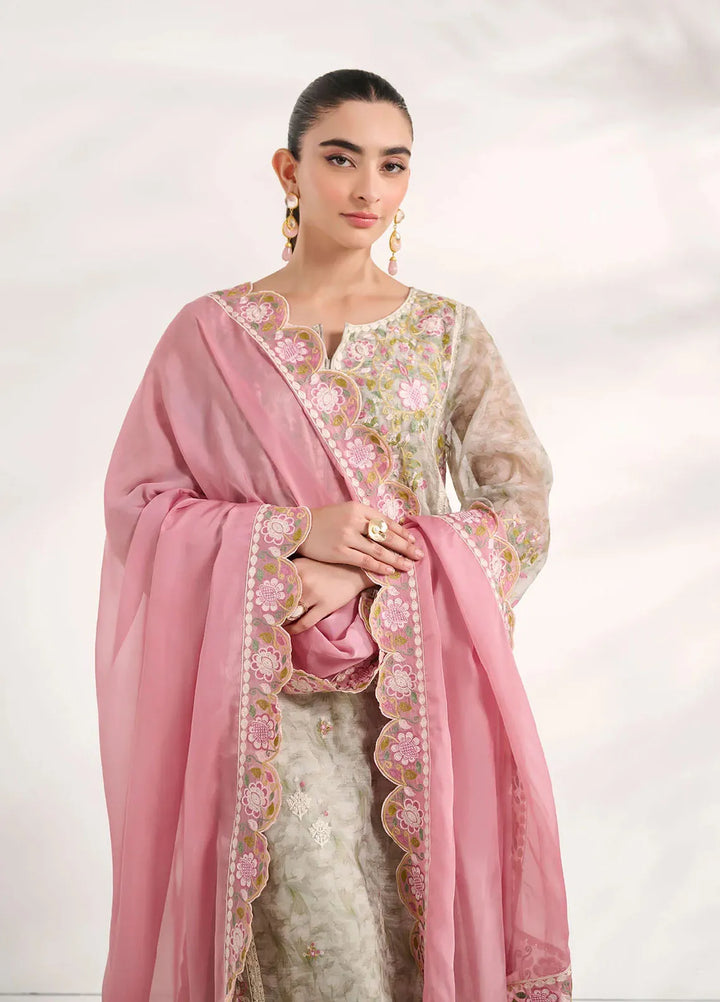 Dhanak Pret Embroidered Munar 2 Piece Suit SS24DA-2588