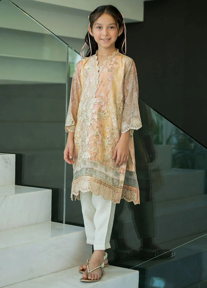 Dhanak Pret Embroidered Munar 2 Piece Suit SS24DK-0174